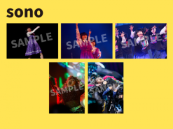 AVANTGARDEY 2nd LIve演唱會紀念照片